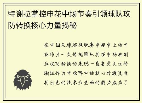 特谢拉掌控申花中场节奏引领球队攻防转换核心力量揭秘